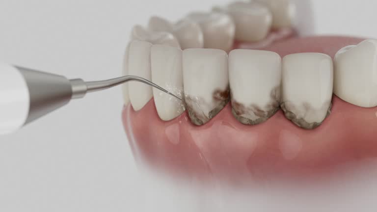 Reliable Dental contractor in Fowler, MI by Dentist Open Now